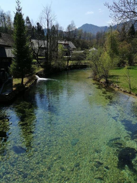 Wunderschöne Ferienwohnung mit Blick auf die Karawanken Zgornje Gorje Exterior foto