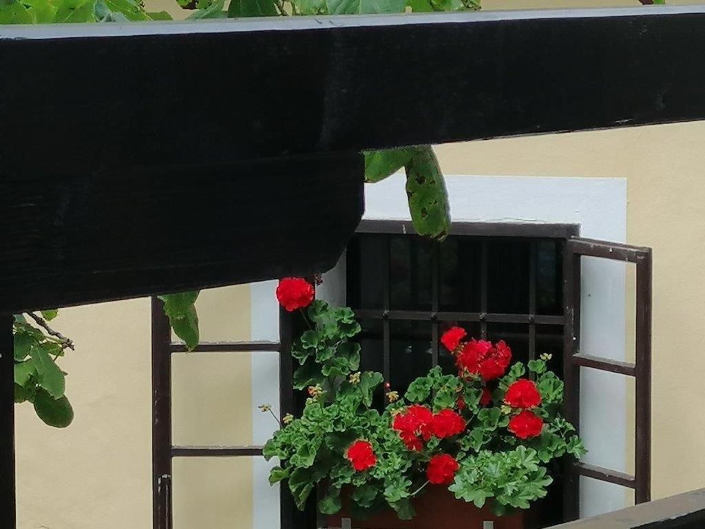 Wunderschöne Ferienwohnung mit Blick auf die Karawanken Zgornje Gorje Exterior foto