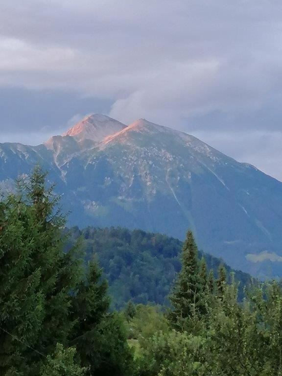 Wunderschöne Ferienwohnung mit Blick auf die Karawanken Zgornje Gorje Exterior foto