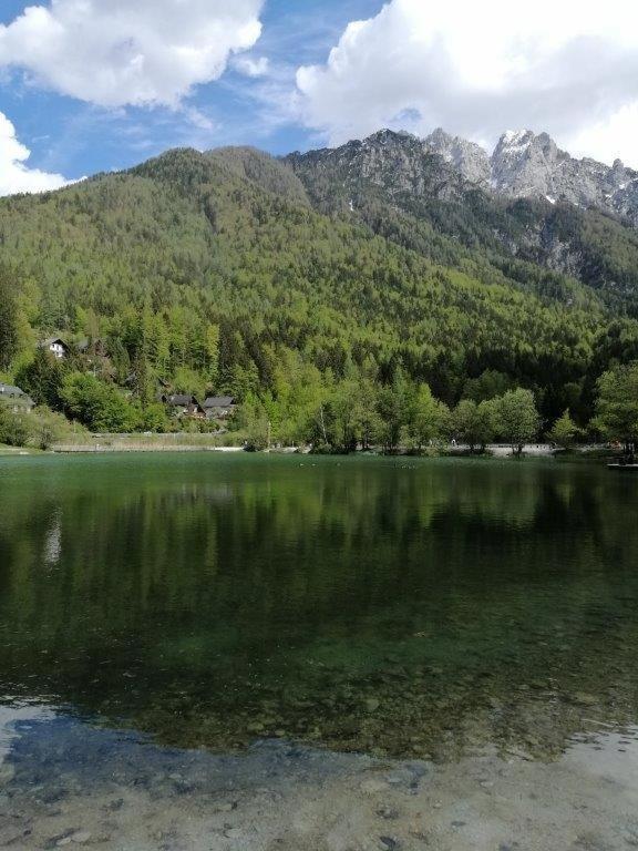 Wunderschöne Ferienwohnung mit Blick auf die Karawanken Zgornje Gorje Exterior foto