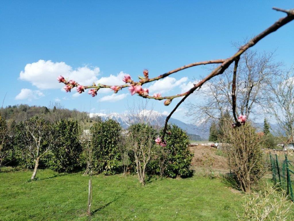 Wunderschöne Ferienwohnung mit Blick auf die Karawanken Zgornje Gorje Exterior foto